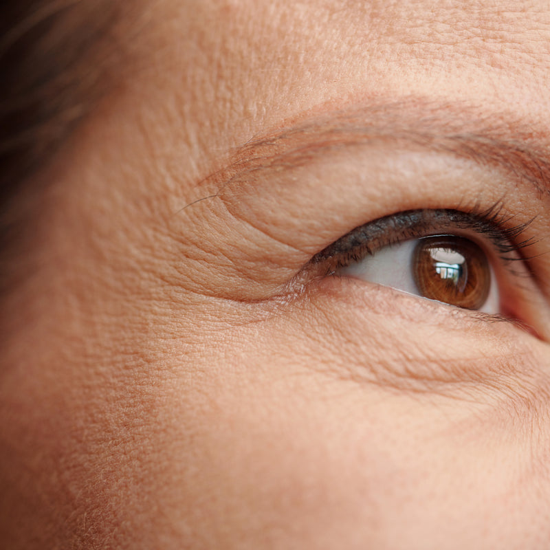 Dehydr'Aging : le défi, la réponse Rexaline